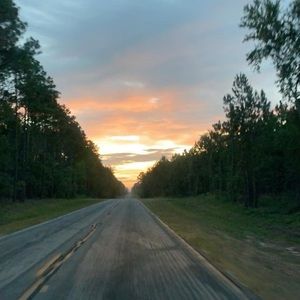 Meet your Posher, George